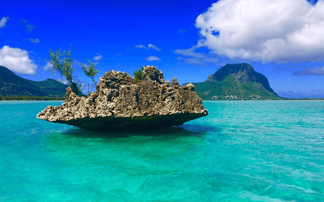 Catamaran Ile aux Benitiers Mauritius