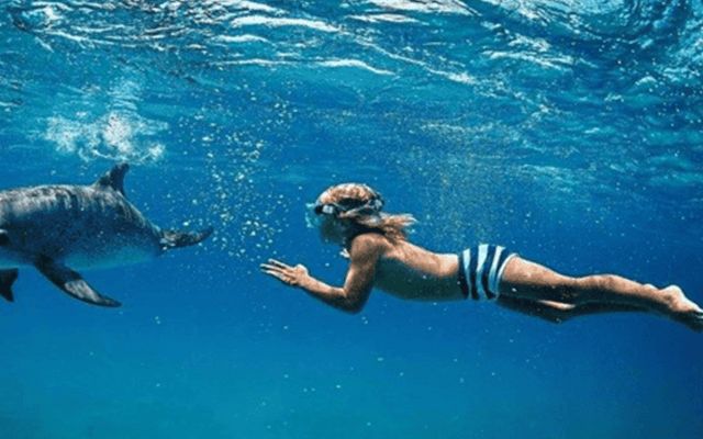 Private Dolphin Trips Mauritius